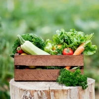 Organic Product