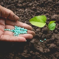 Fertilizer
