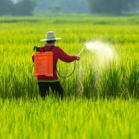 Pesticide