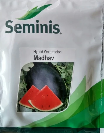 Watermelon Madhav Seminis