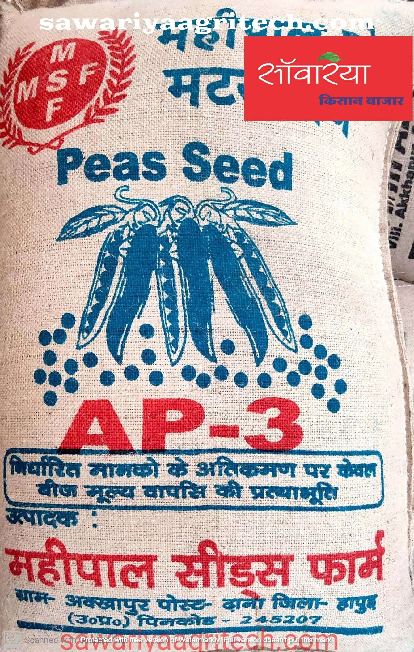 Pea Seeds AP3 Mahipal