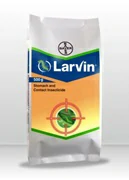 Larvin Bayer