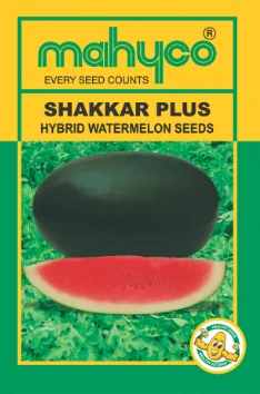 watermelon Shakkar Mahyco