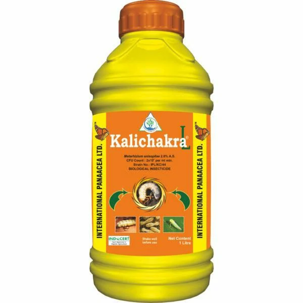 Kalichakra L IPL
