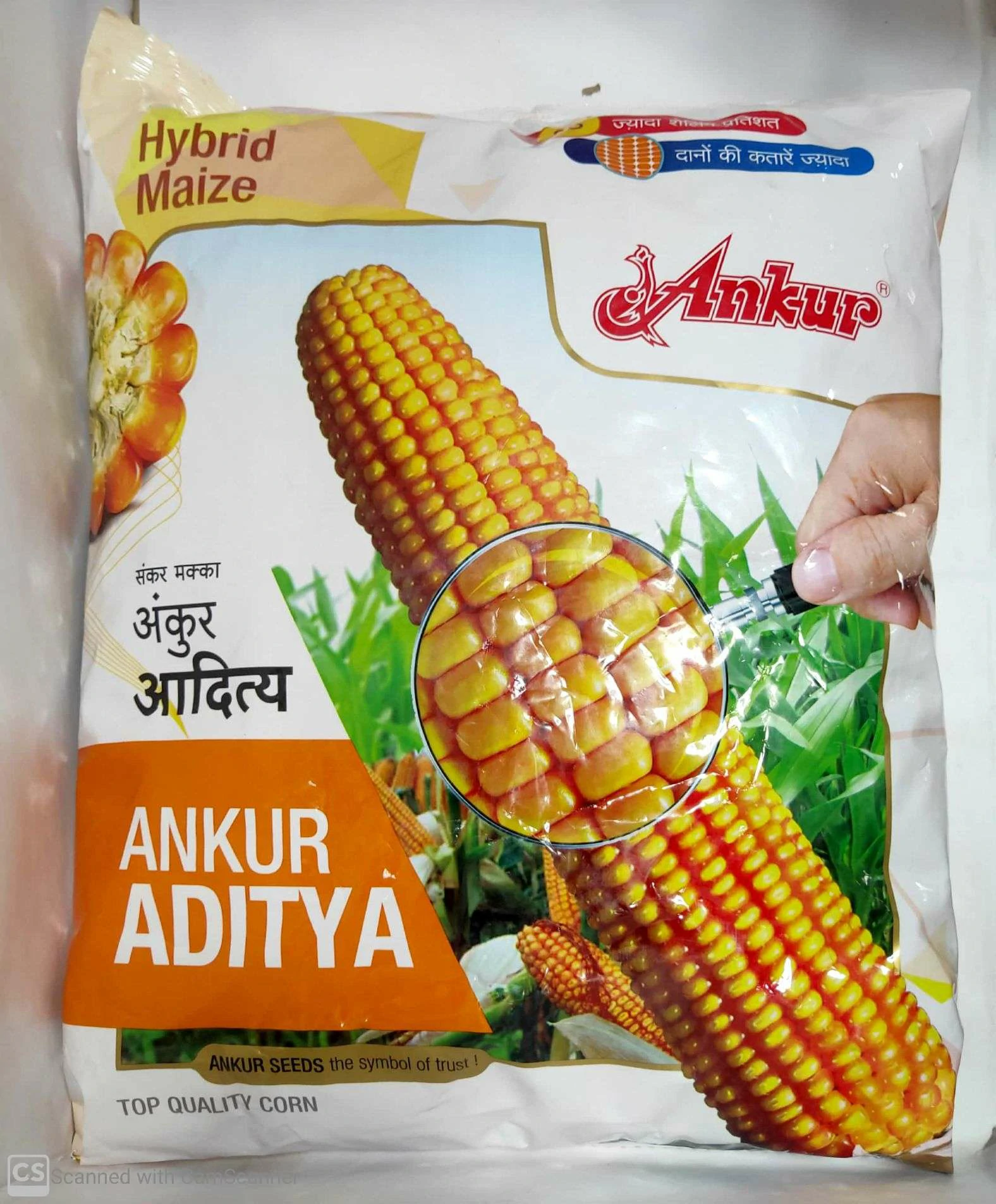 Maize Aditya Ankur seeds