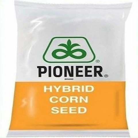 Maize P3401 Lumigen - T Pioneer