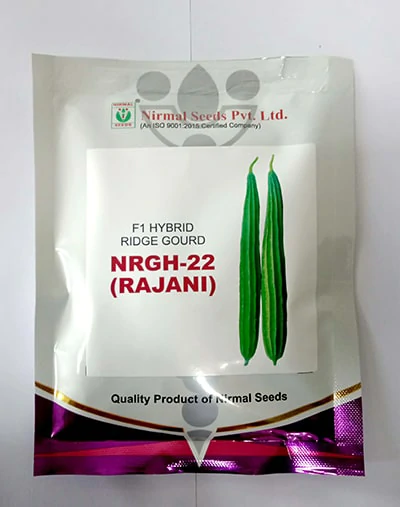 Ridgegourd F 1 NRGH -22 Rajani Nirmal