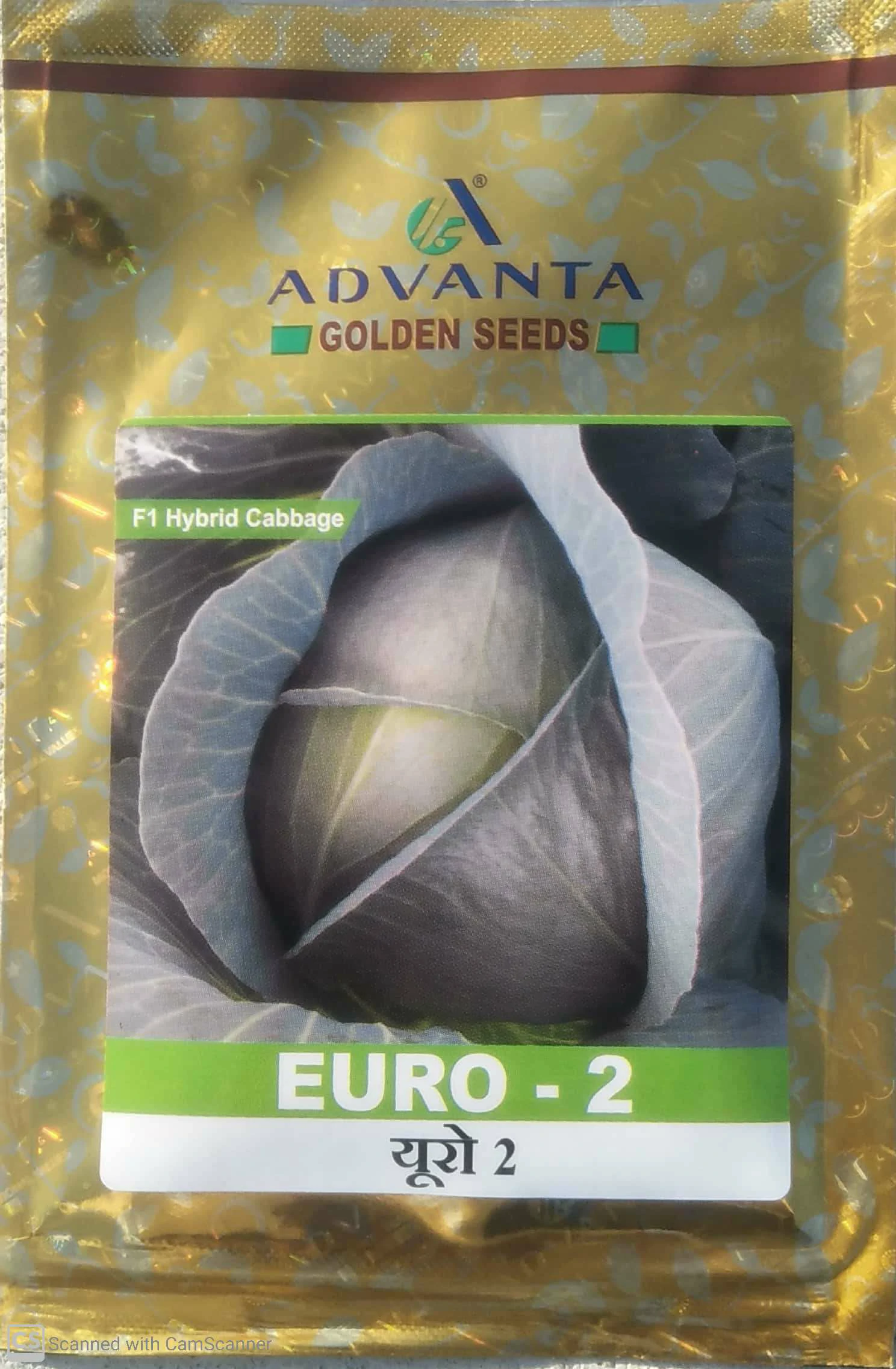 Cabbage Euro-2 Advanta Upl