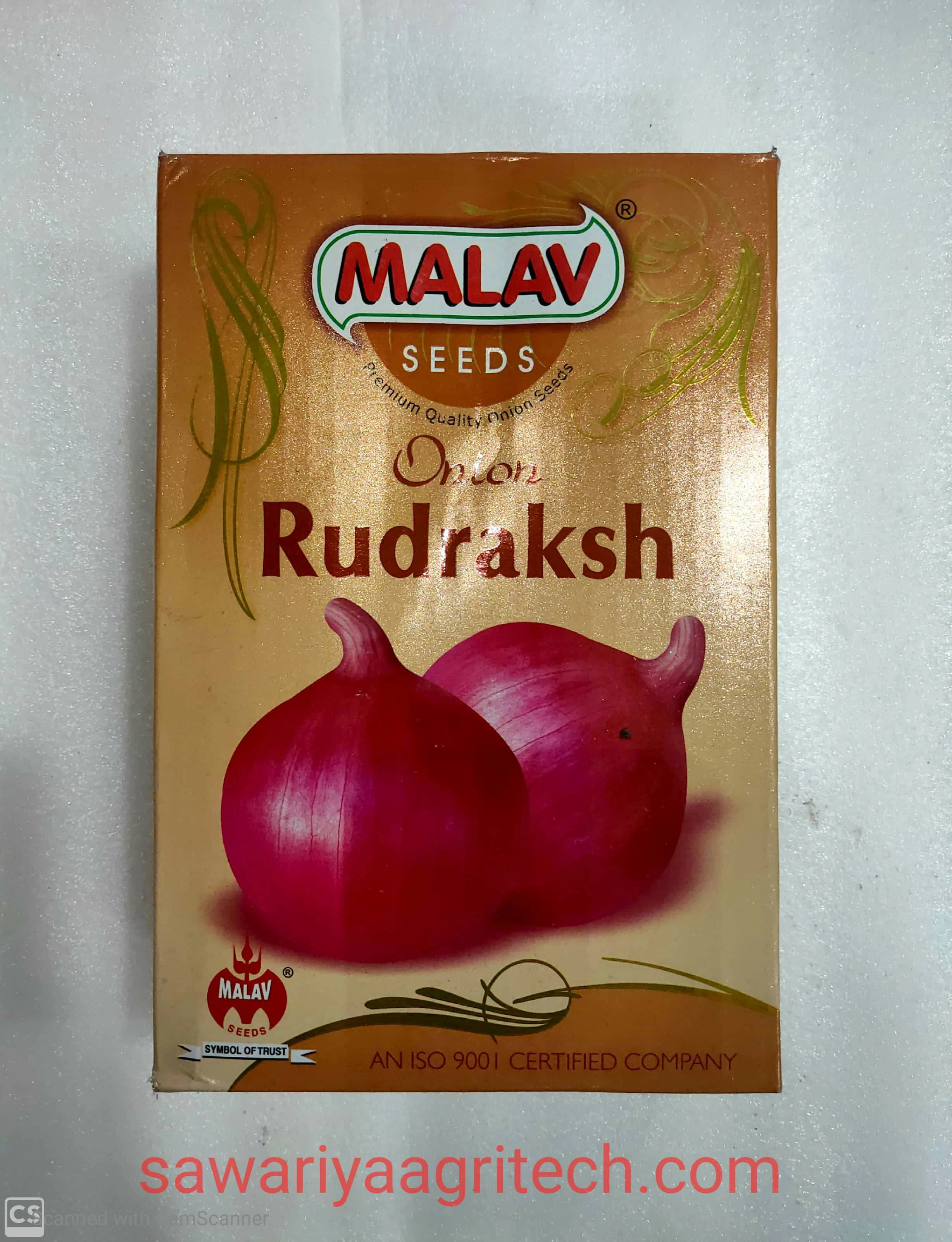 Onion Rudraksh Malav
