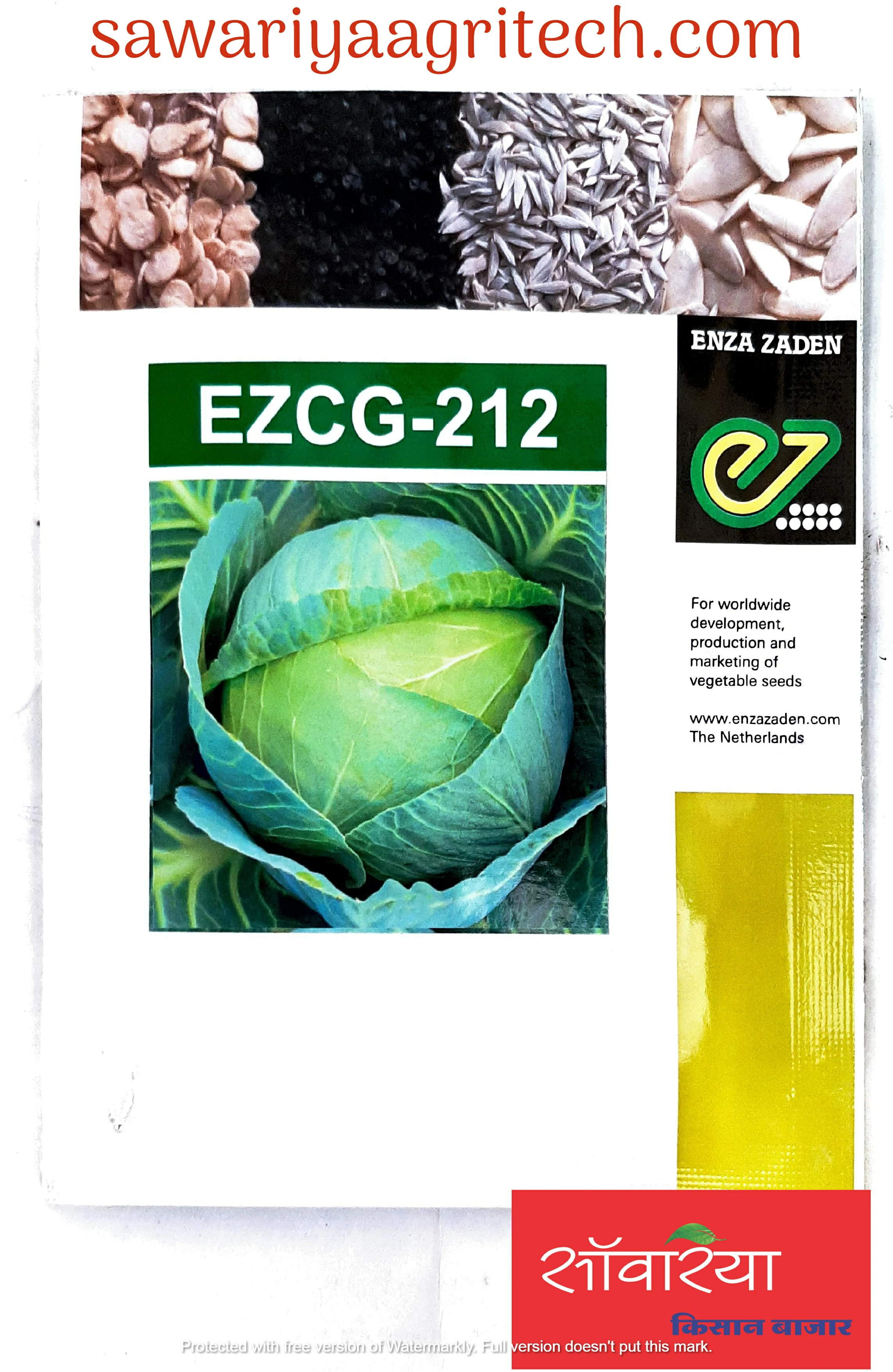 Cabbage EZCG-212 Enza Zaden