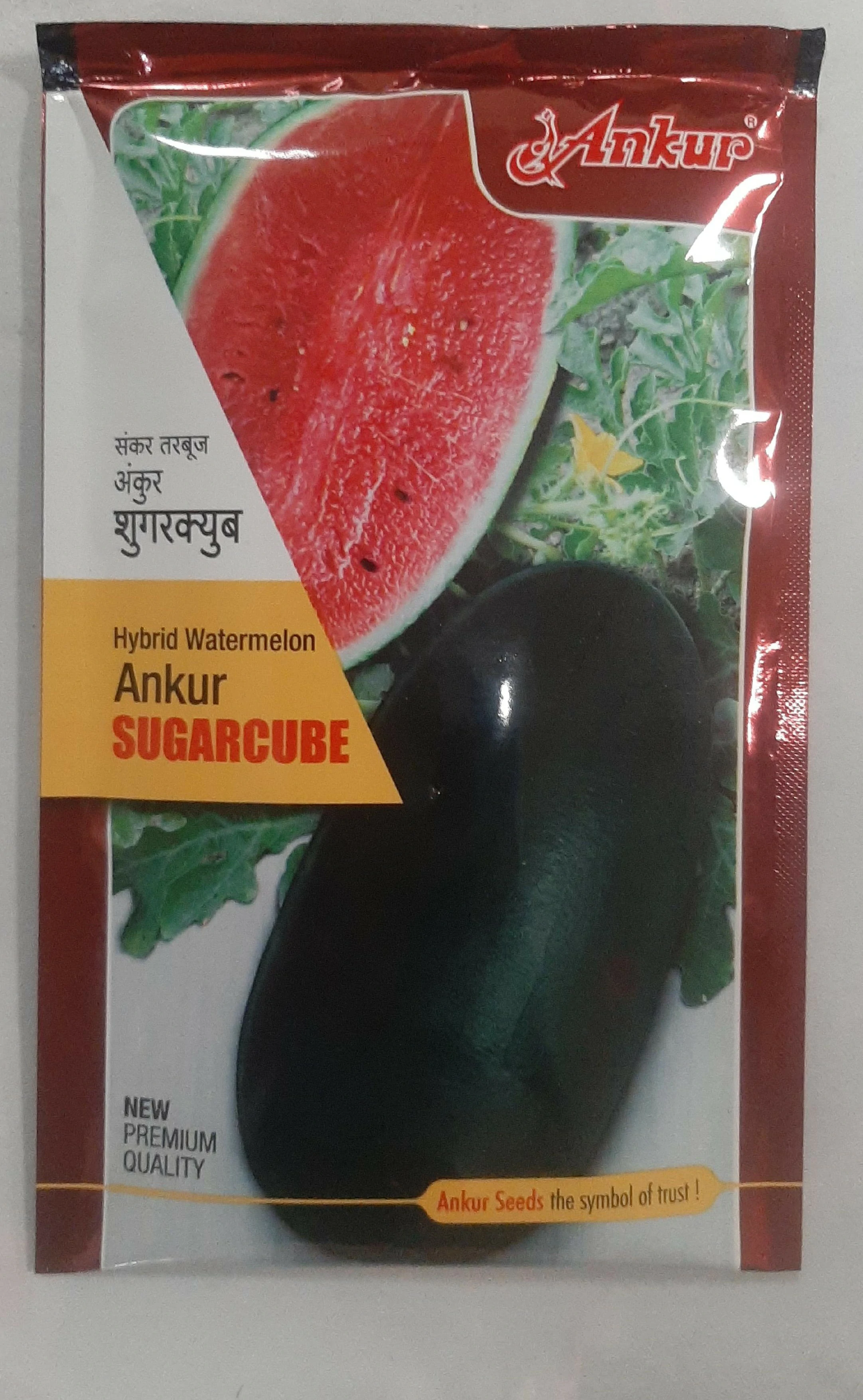 Watermelon Sugar Cube Ankur