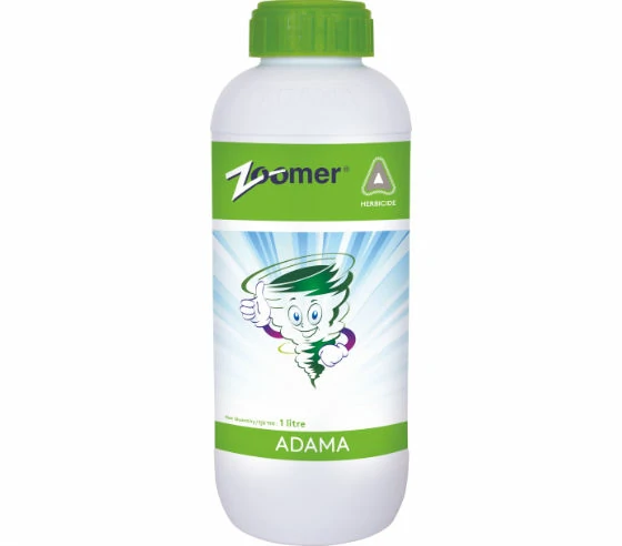 Zoomer - Adama