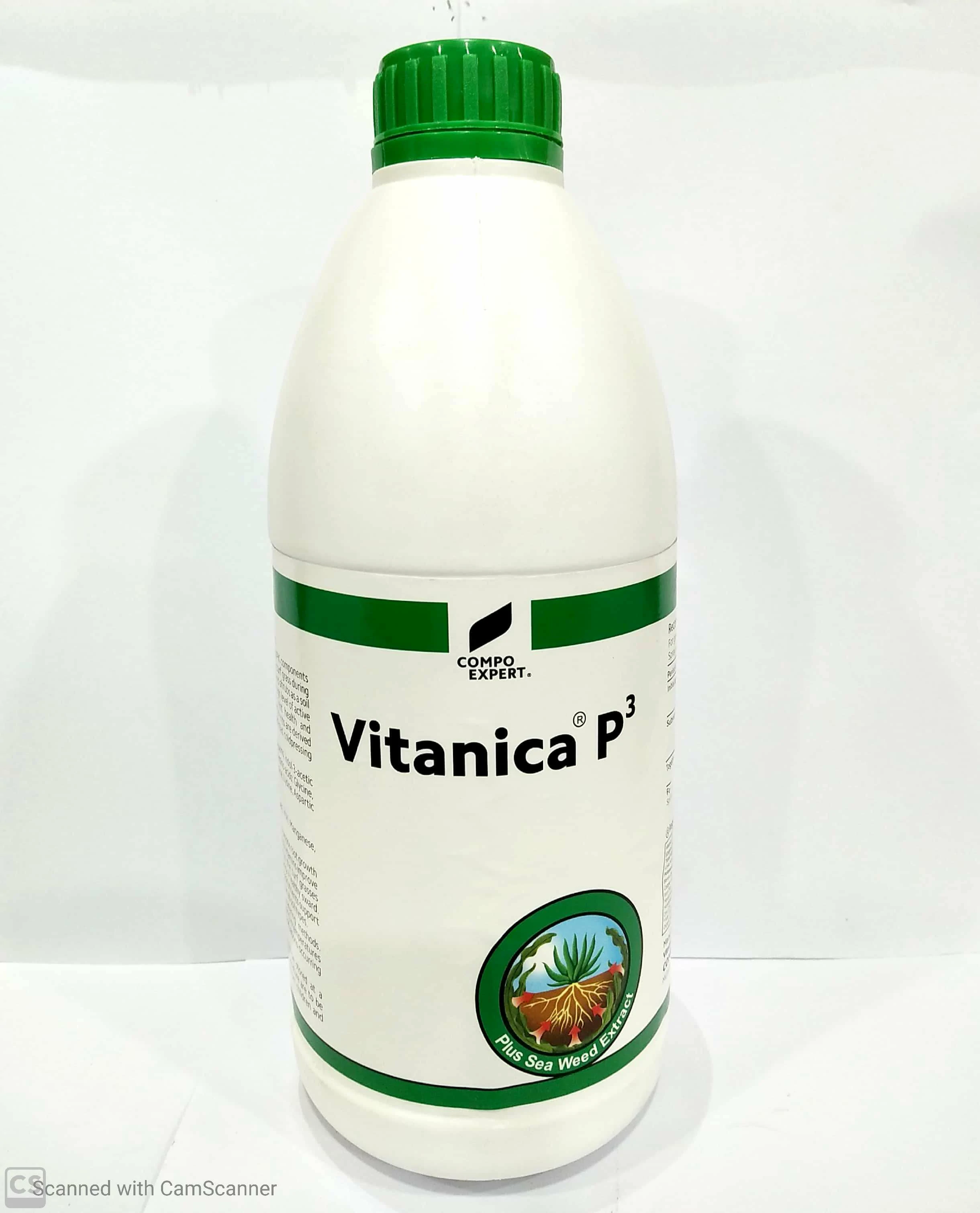 Vitanica P3 Compo Expert