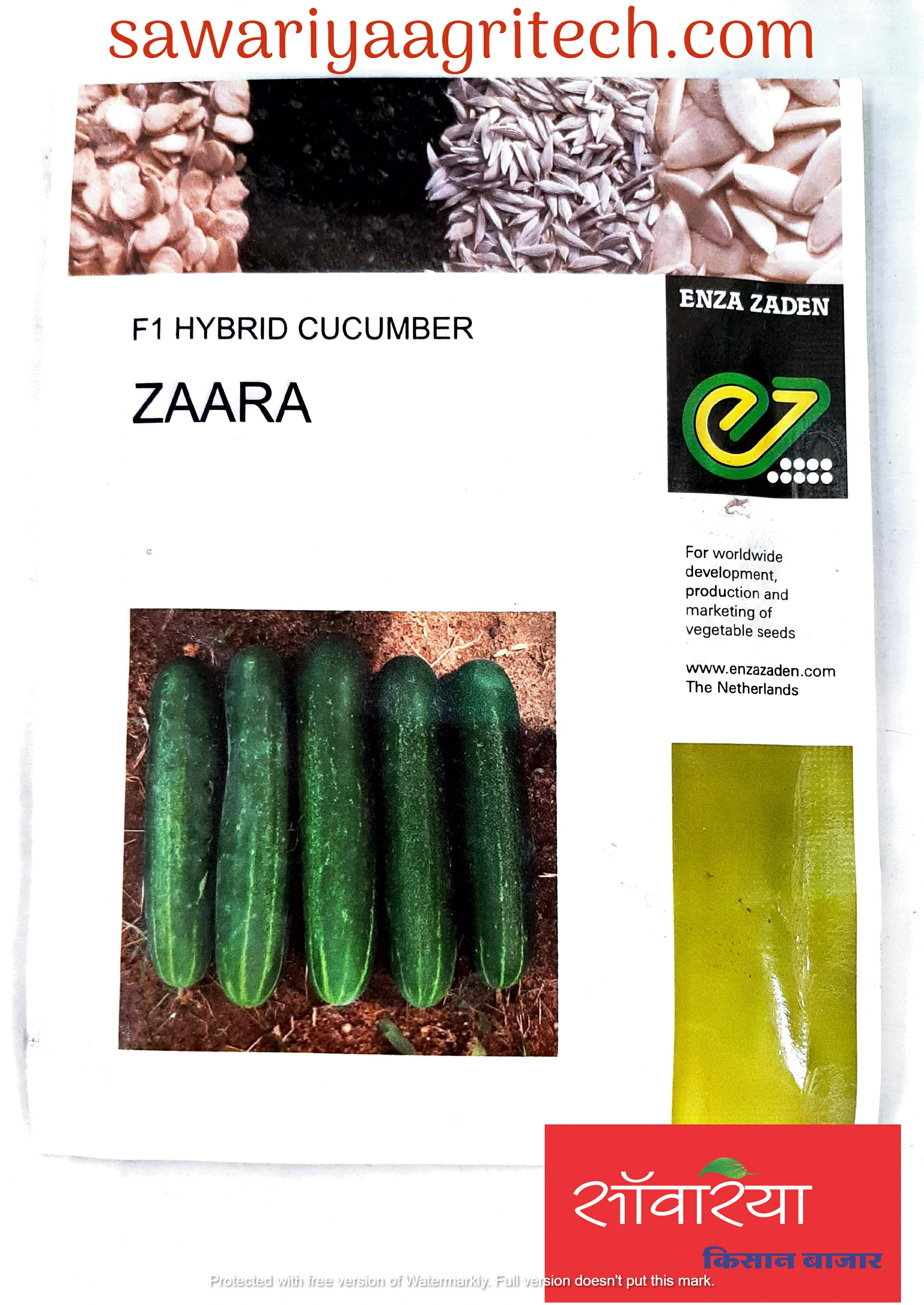 Cucumber Zaara Enza Zaden