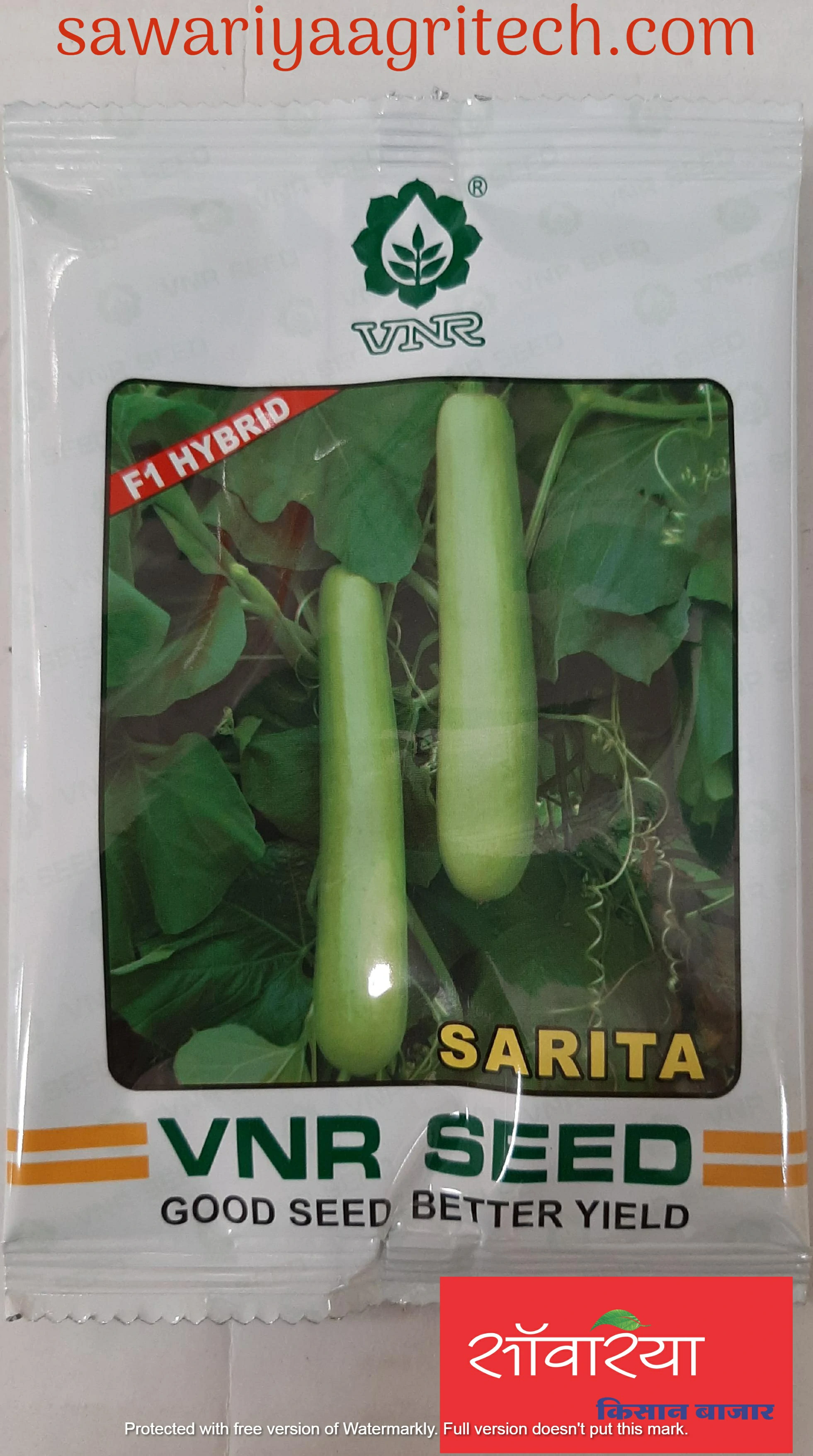 Bottlegourd Sarita VNR