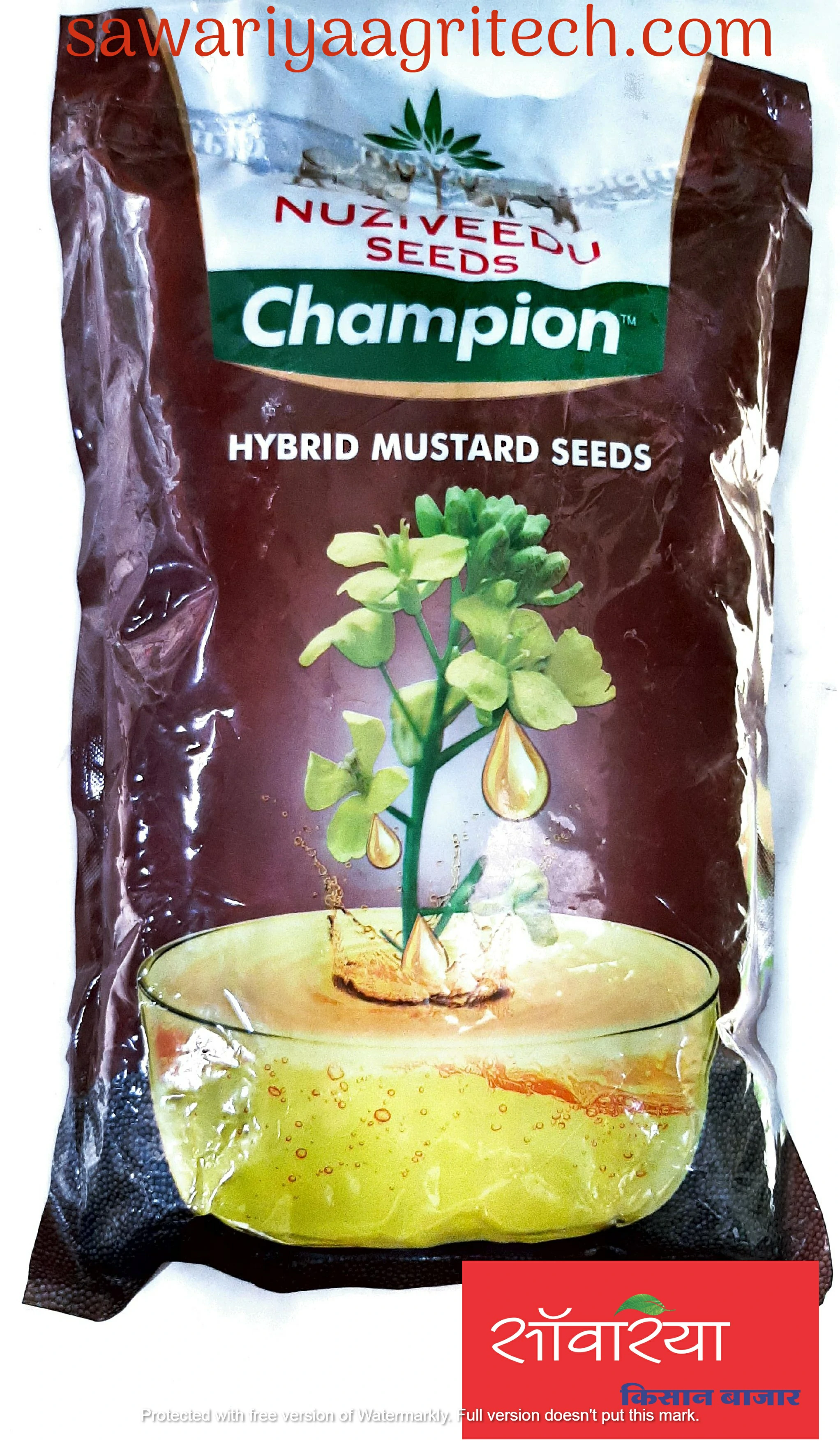 Mustard Champion Nuziveedu