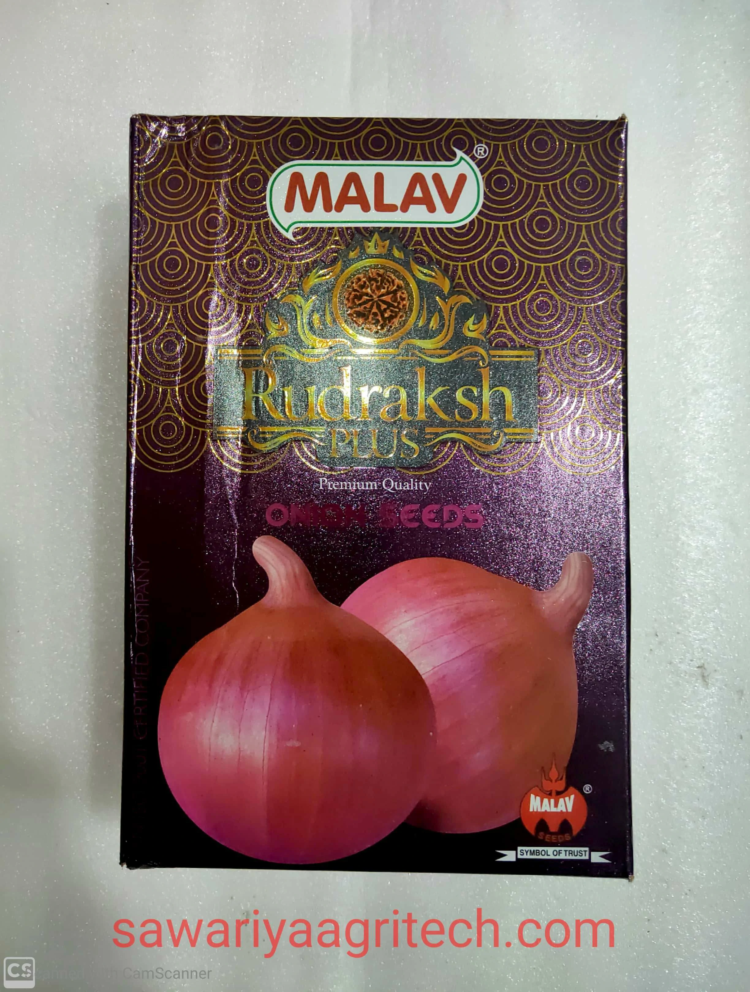 Onion Rudraksh Plus Malav Seeds