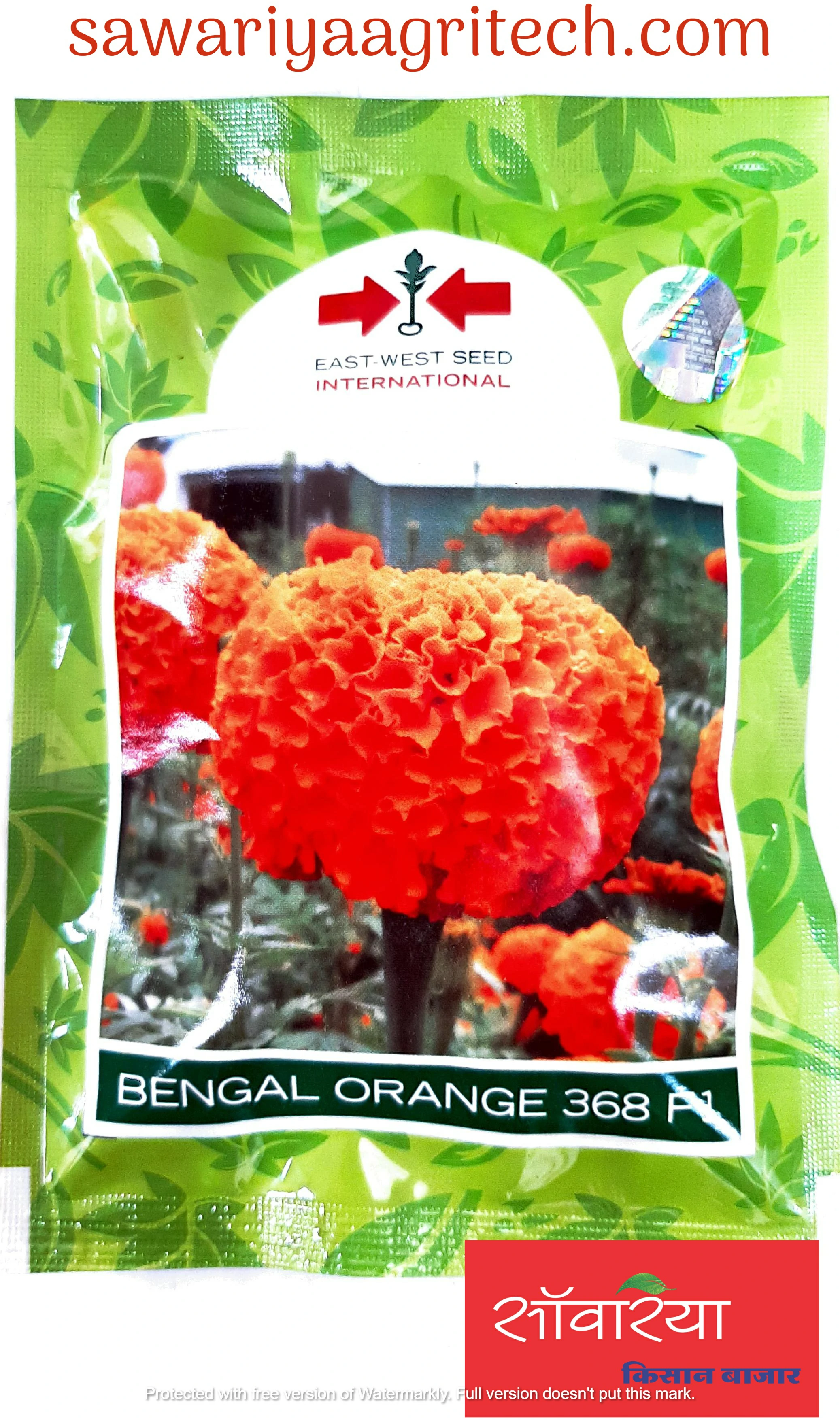 Marigold Bengal Orange East West