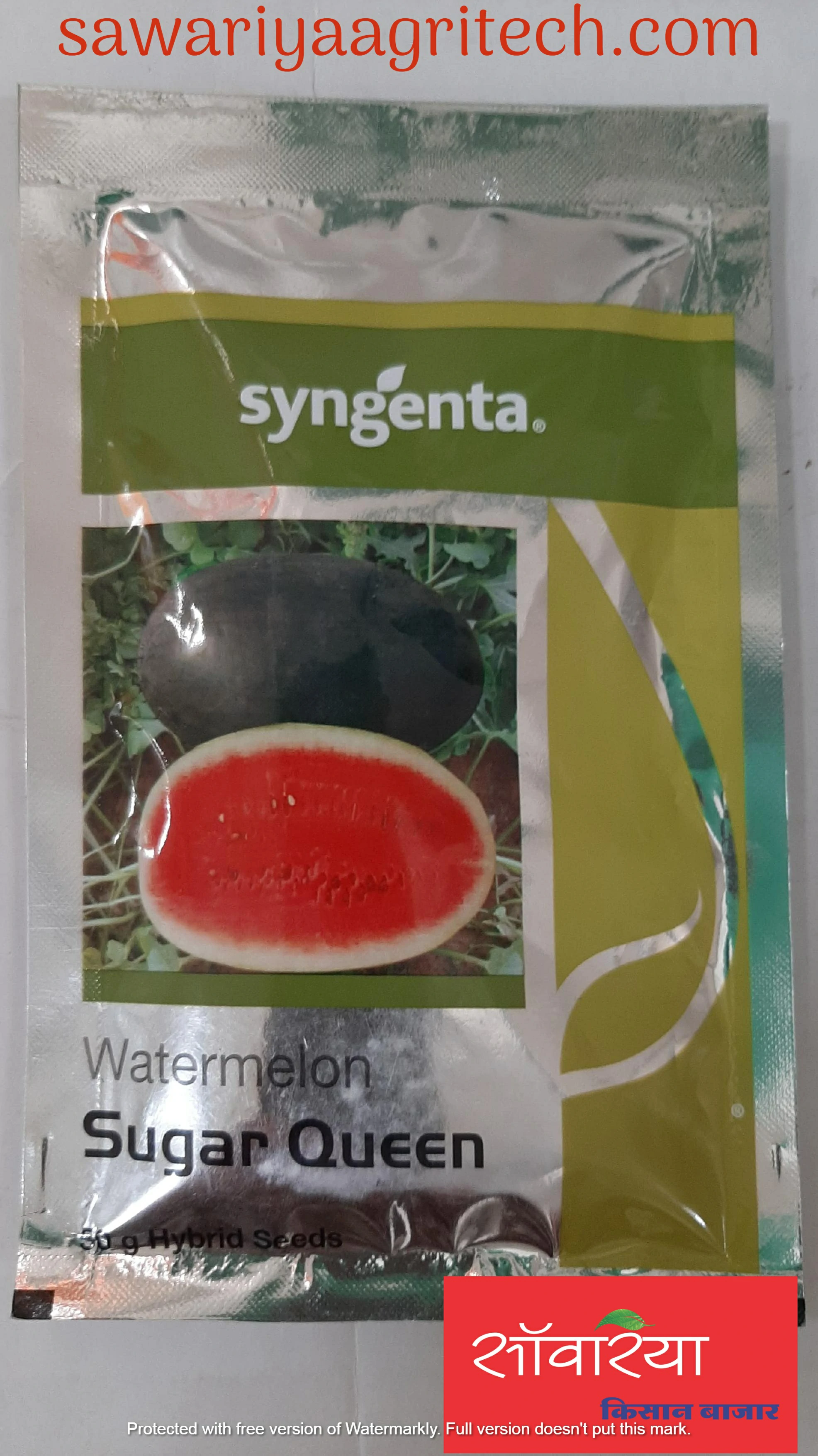 Watermelon Sugarqueen Syngenta