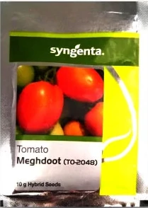 Tomato 2048 Syngenta