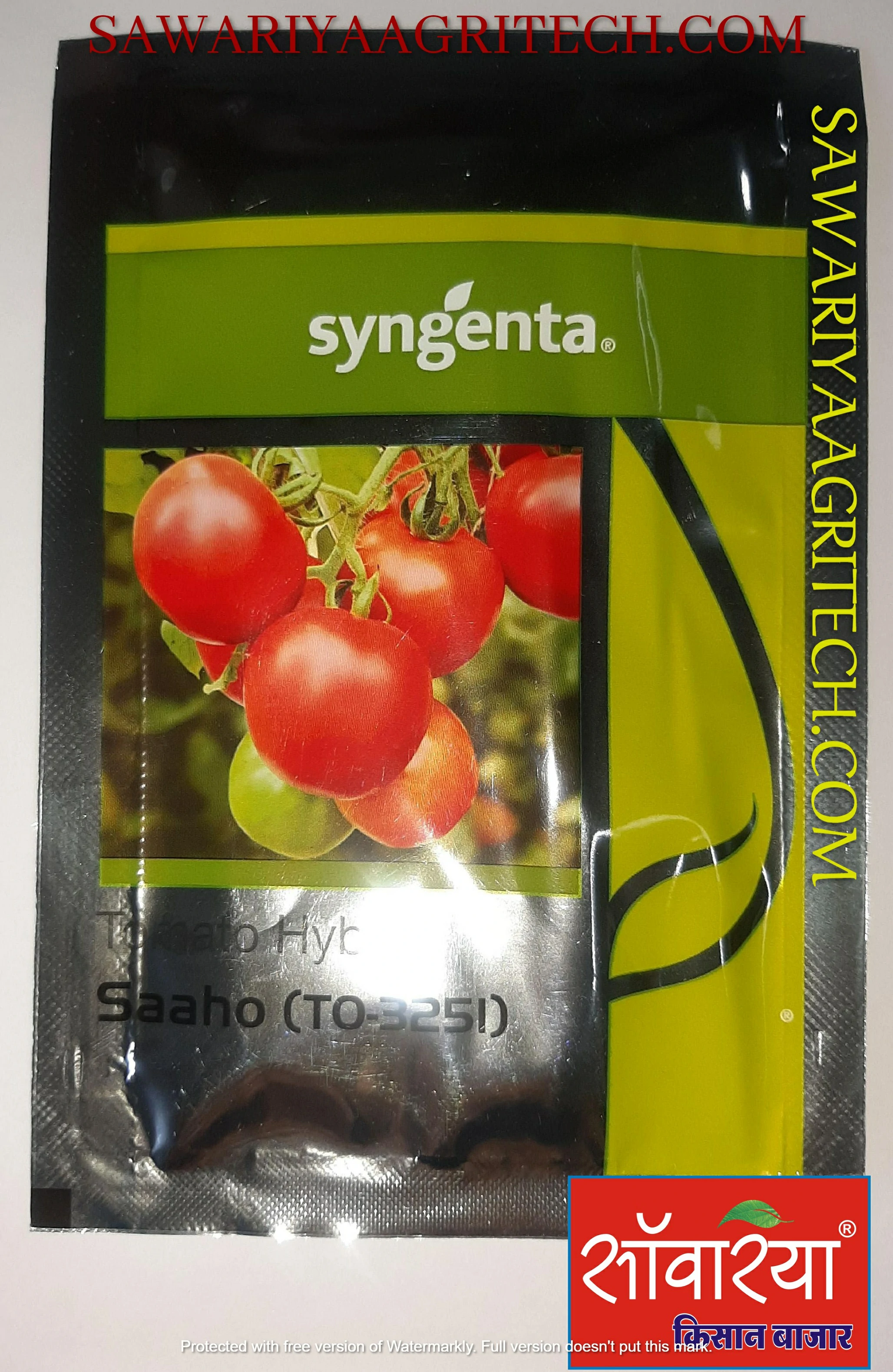 Tomato Saaho Syngenta