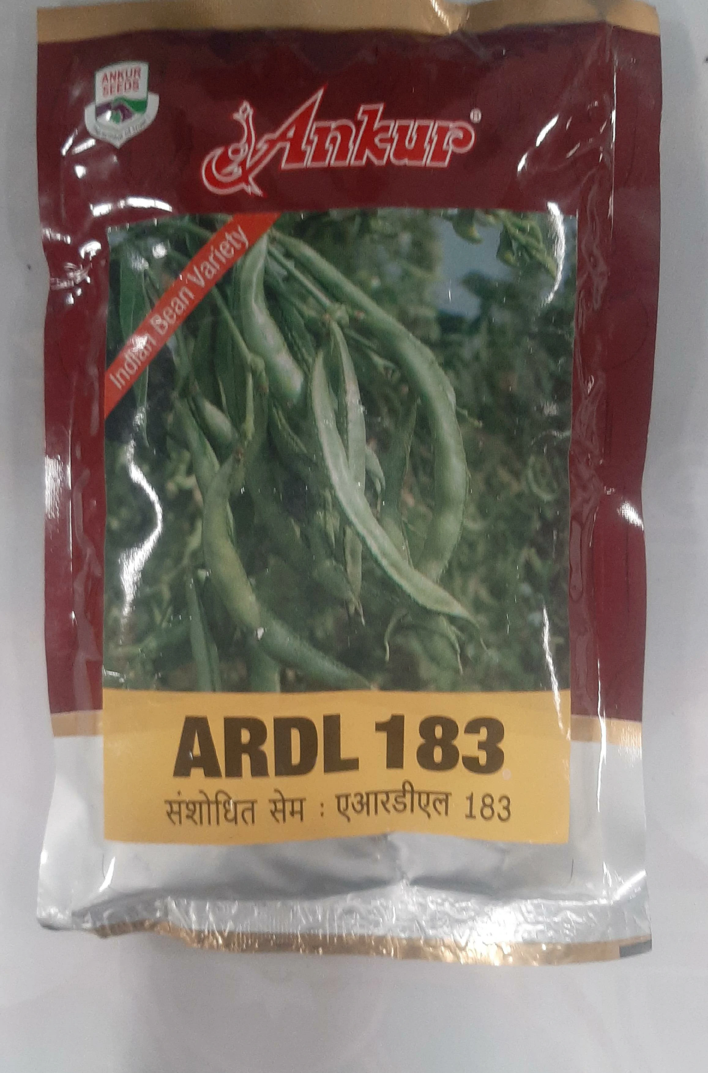 Beans ARDL 183 Ankur