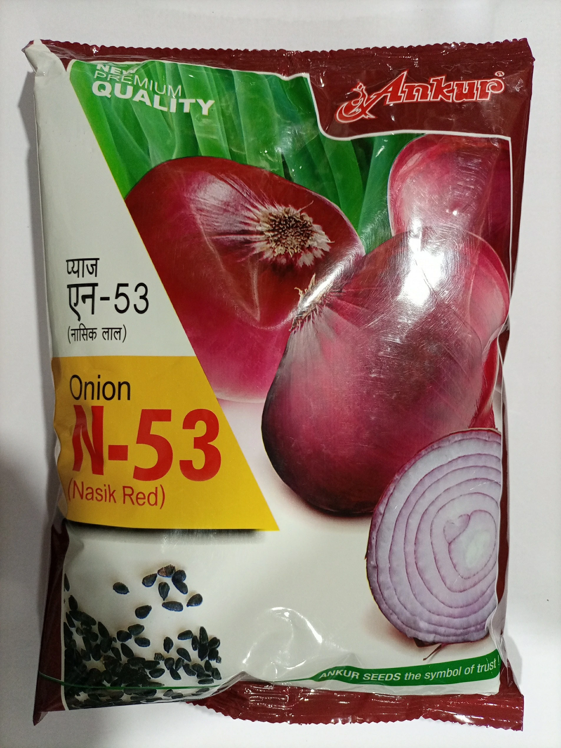 Onion Nashik Red N53 Ankur