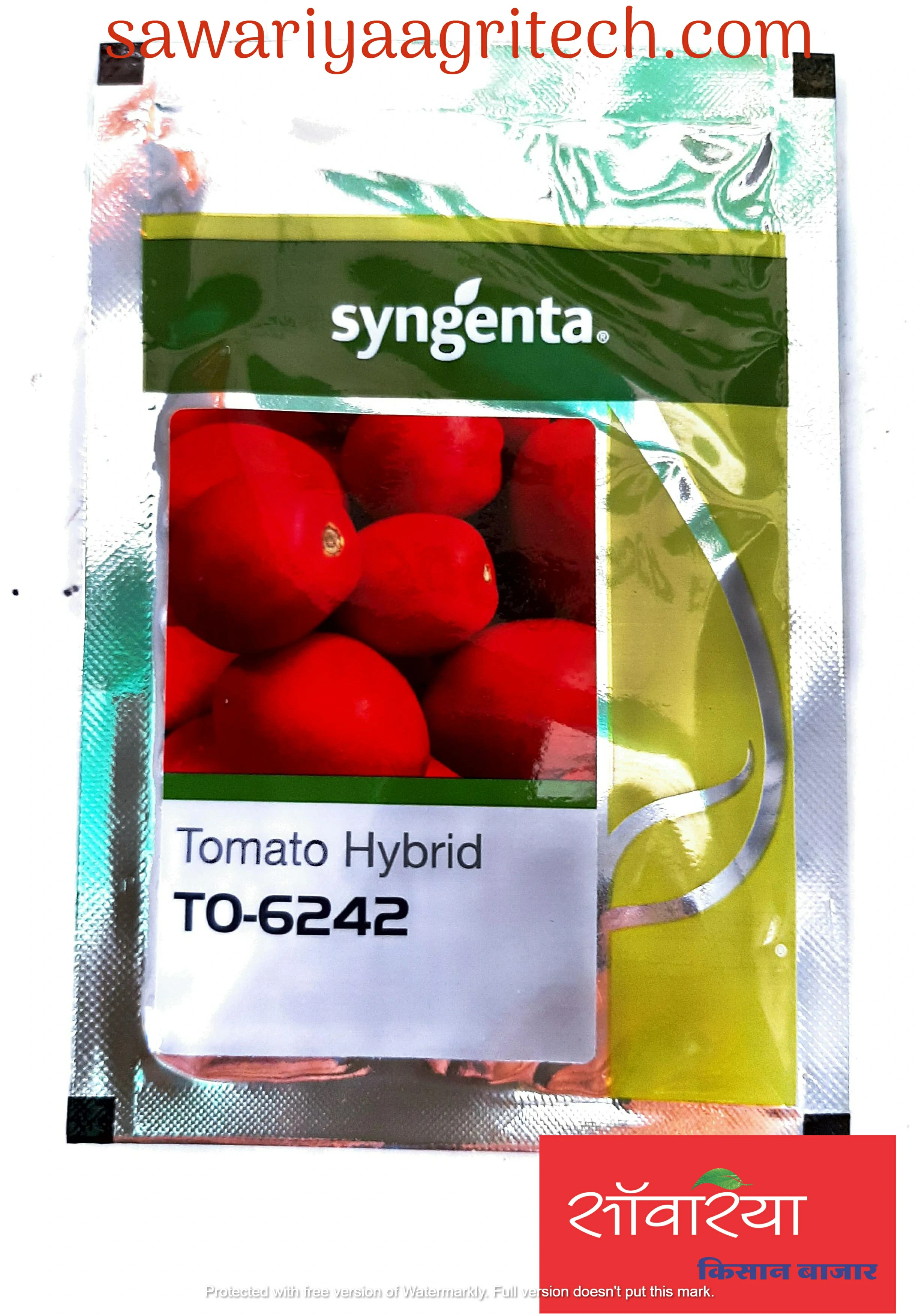 Tomato 6242 Syngenta