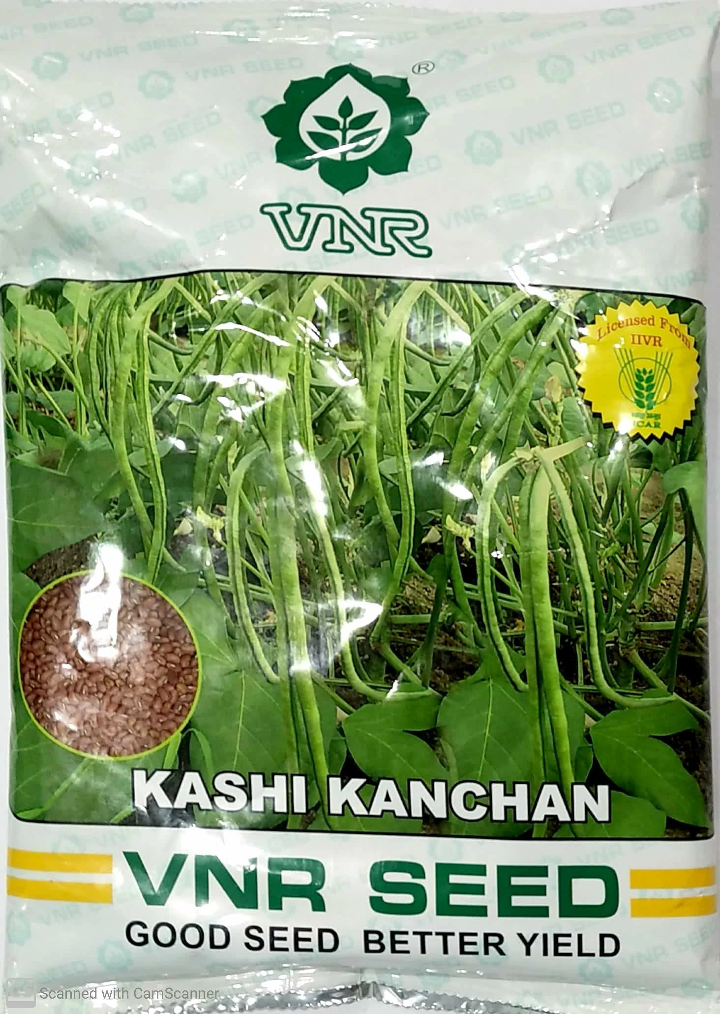 Cowpea Kashi Kanchan Vnr