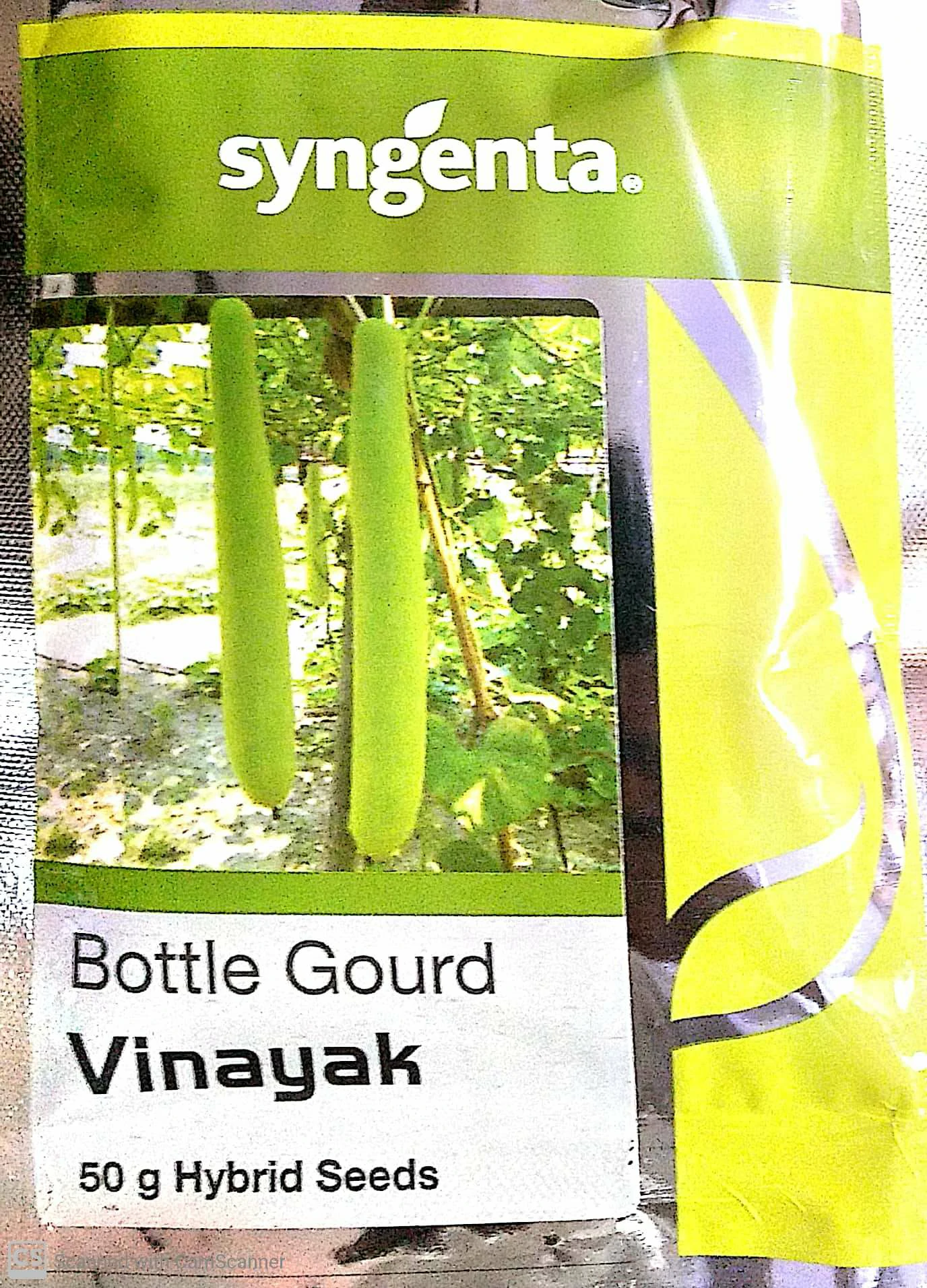 BottleGourd Vinayak Syngenta