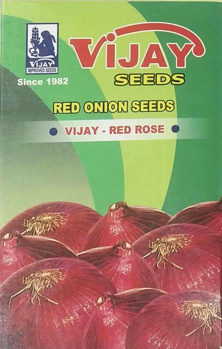 Onion red rose Vijay