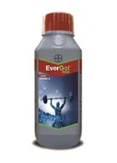 EverGol Xtend Bayer
