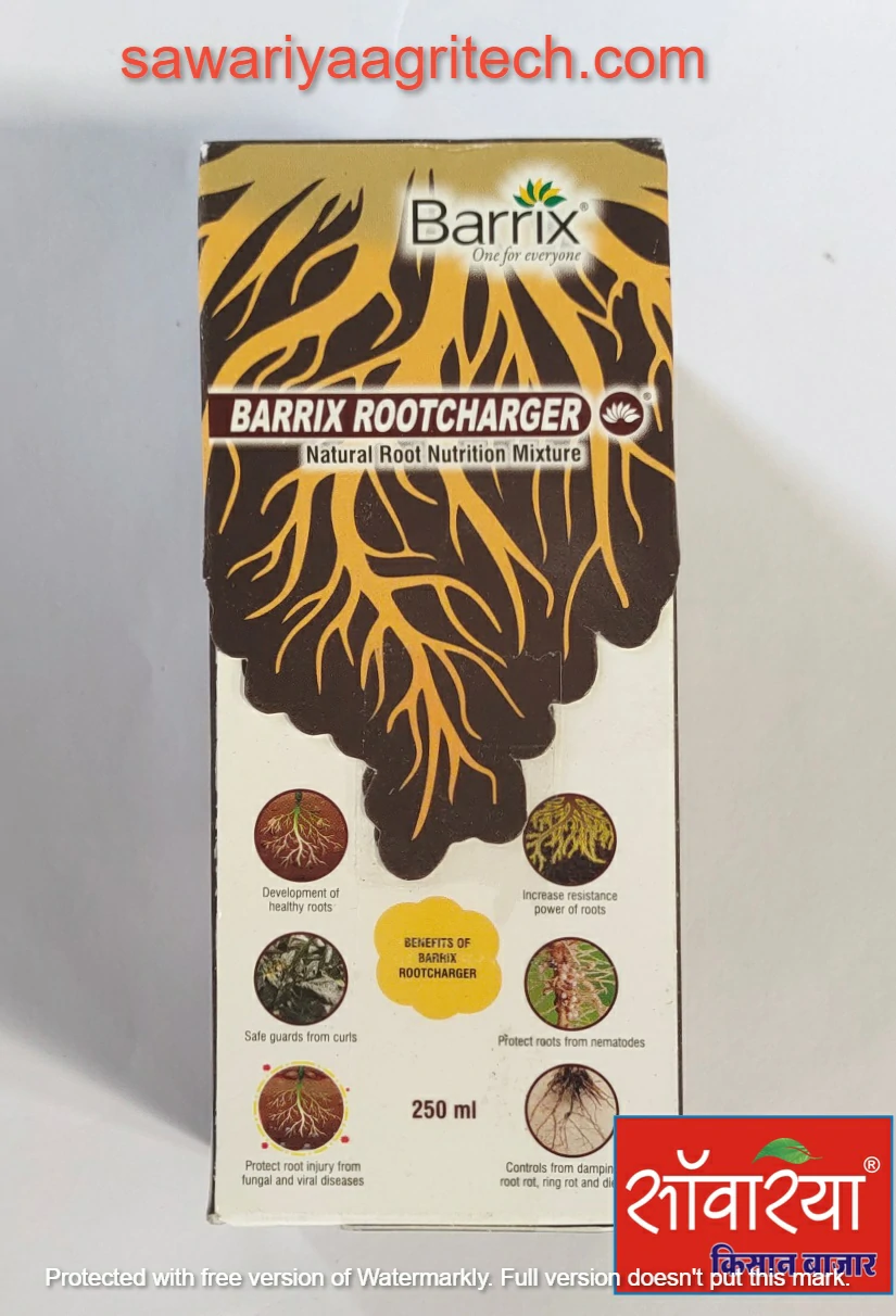 Barrix Root Charger