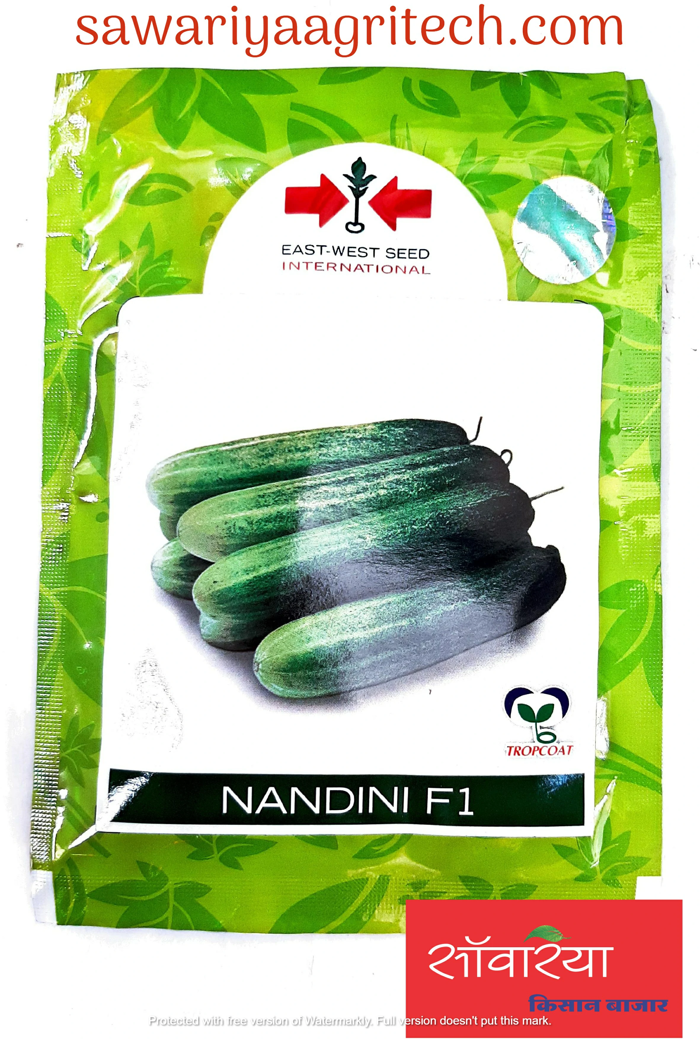 Cucumber Nandini East West